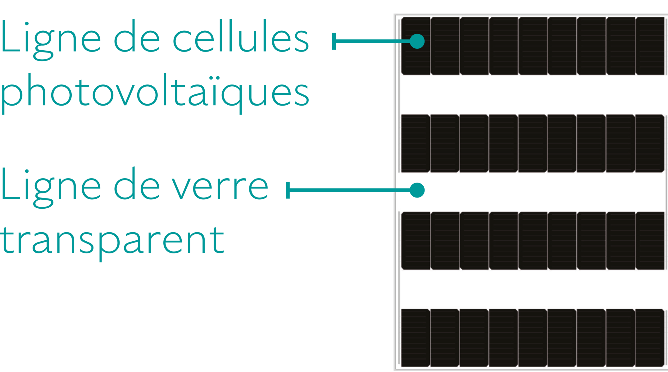 bandeau+5-2+texte+image+resized